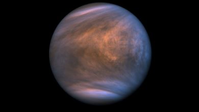 Venus