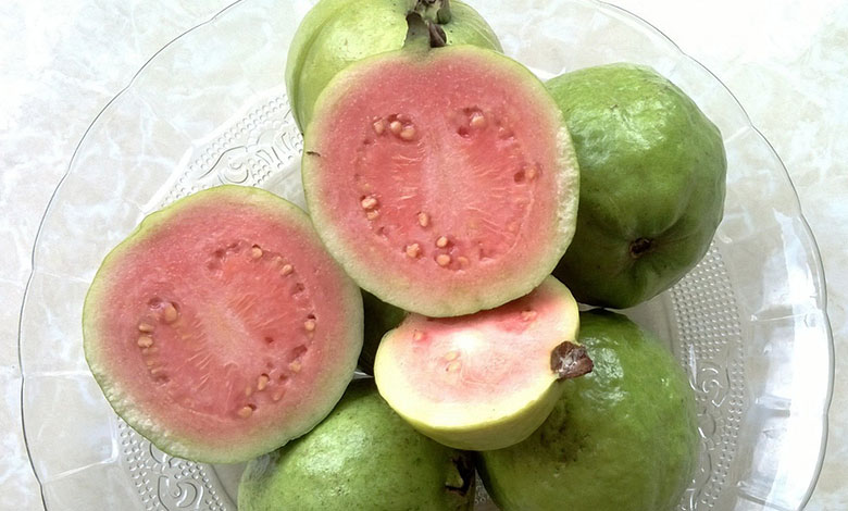 Guava