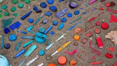 Plastic