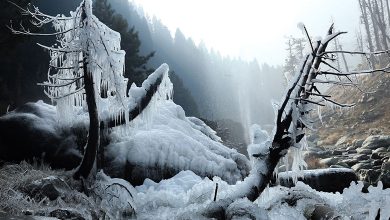 Snowfall
