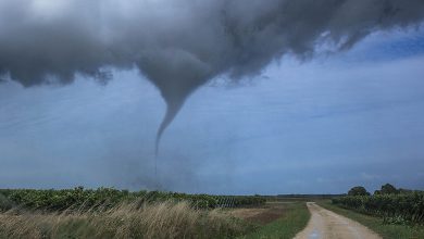 Tornado