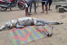West Bengal News