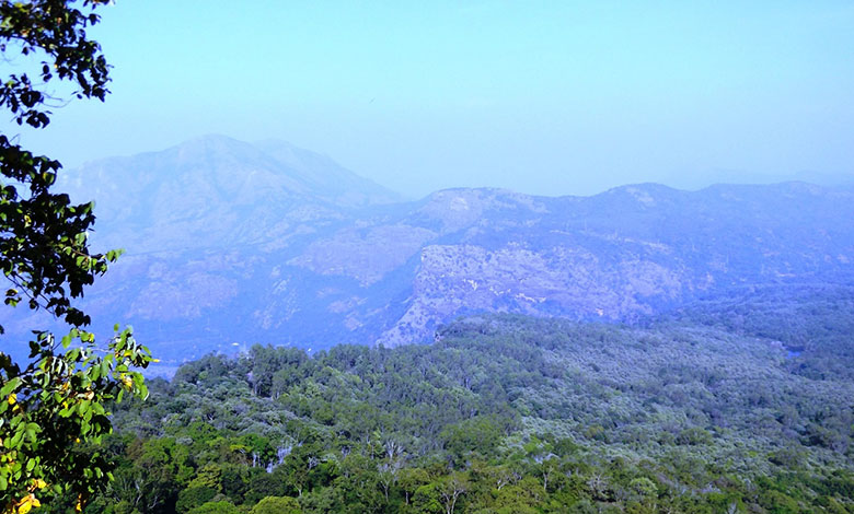 Anamalai Tiger Reserve