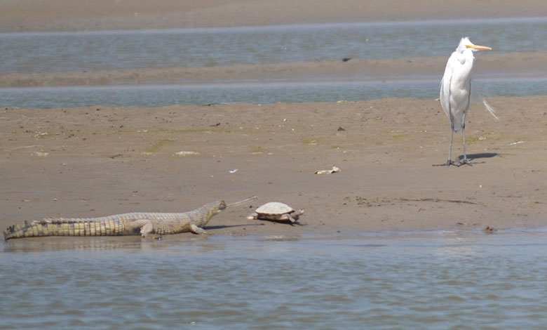 Hastinapur Wildlife Sanctuary