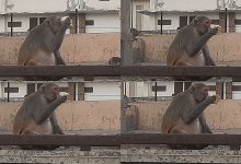 Vrindavan