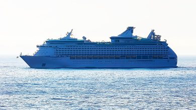 Cruise