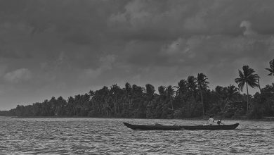 Monsoon
