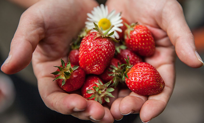 Strawberry