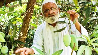 Haji Kalimullah