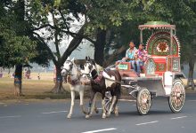 Horse Carriage