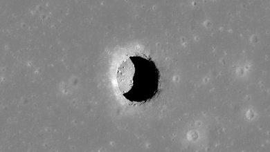 NASA