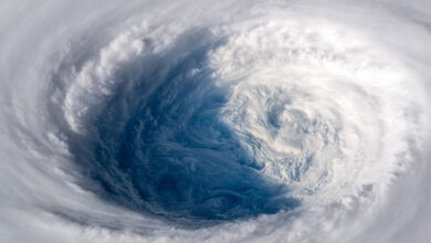 Typhoon
