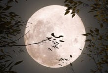 Moon