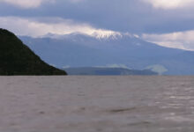 New Zealand