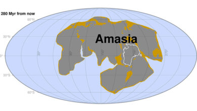 Amasia