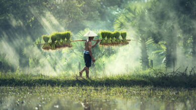 Indonesia