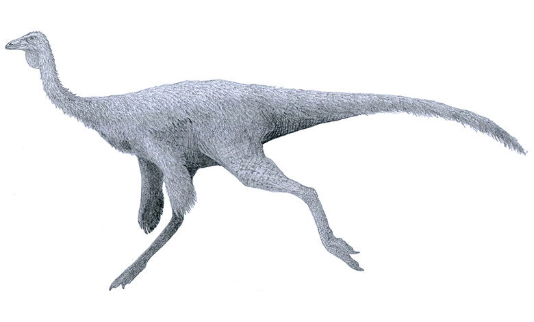 Ornithomimus