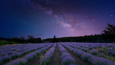 Space