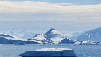 Antarctica