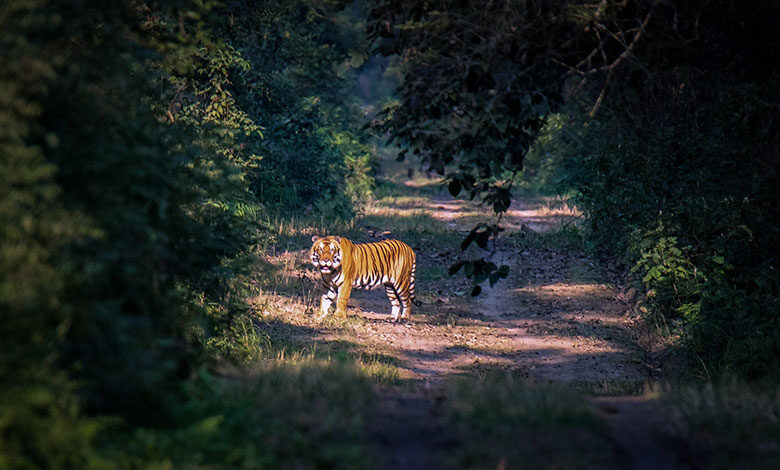 Dudhwa National Park