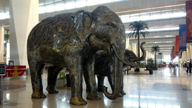 Indira Gandhi International Airport