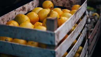 Lemon