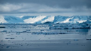 Antarctica