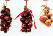 Onions
