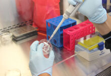 Laboratory