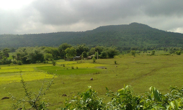 Rajmahal Hills