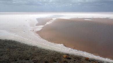 Rann of Kutch