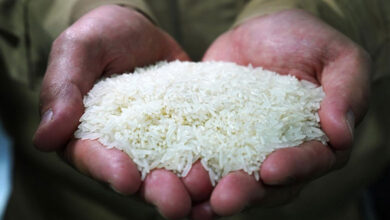 Rice