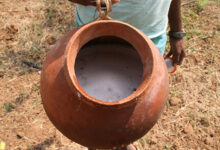 Palm Wine