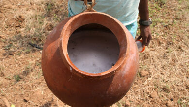 Palm Wine
