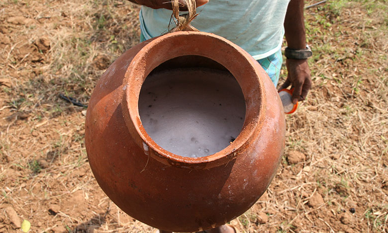 Palm Wine