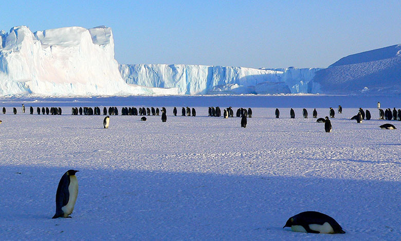 Antarctica