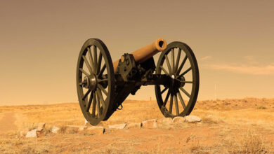 Cannon