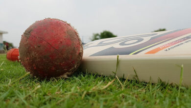 Cricket