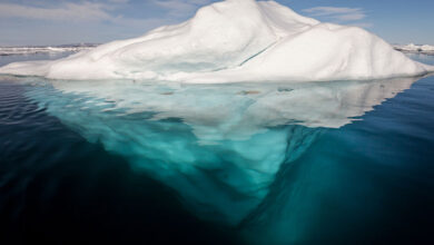 Arctic Ocean