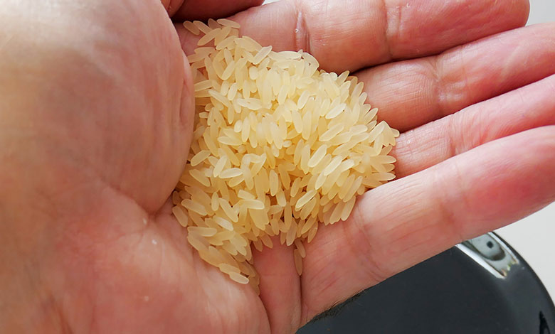 Rice