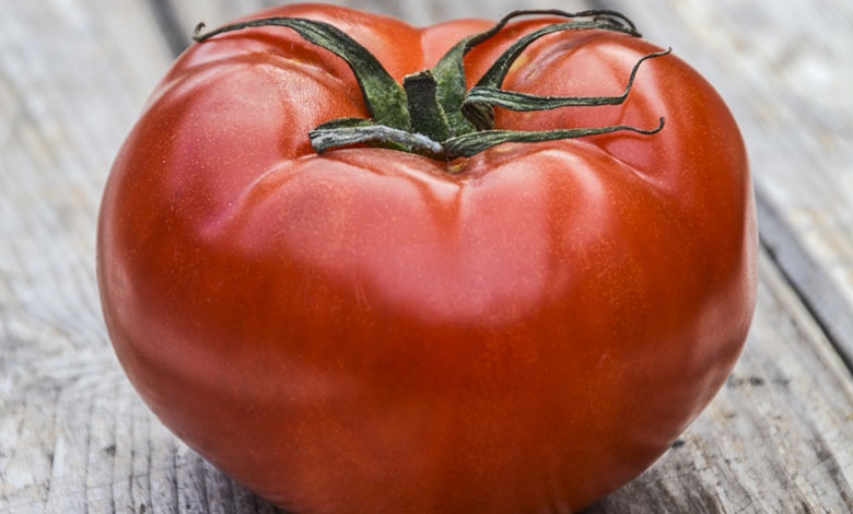 Tomato