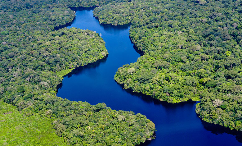 Amazon Rainforest