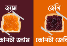 Bengali Recipes