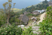 Longwa
