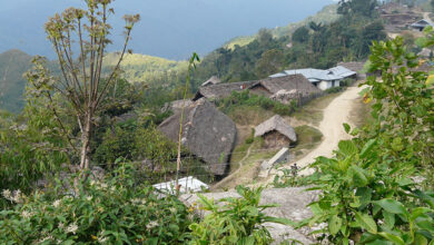 Longwa