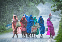 Monsoon