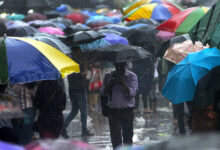 Monsoon