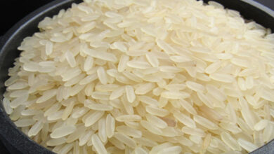 Rice