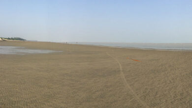 Chandipur Sea Beach