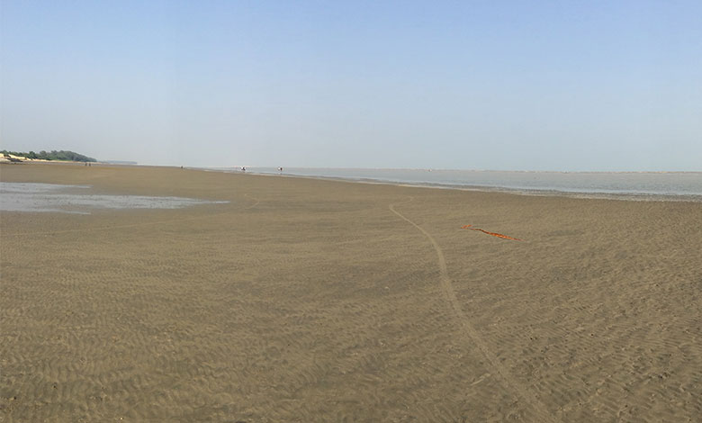 Chandipur Sea Beach